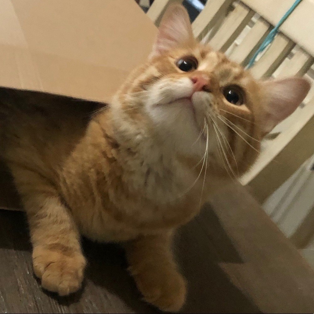 Meet your Posher, Sandi